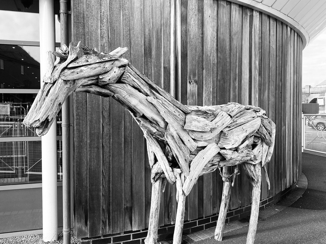 Chester Racecourse-切斯特必去景点