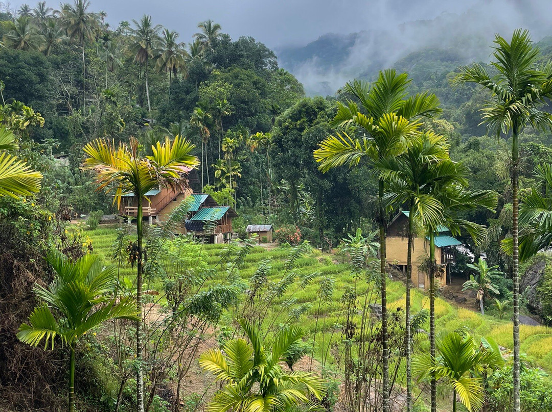 Knuckles Trekking with Gamini-康提必去景点
