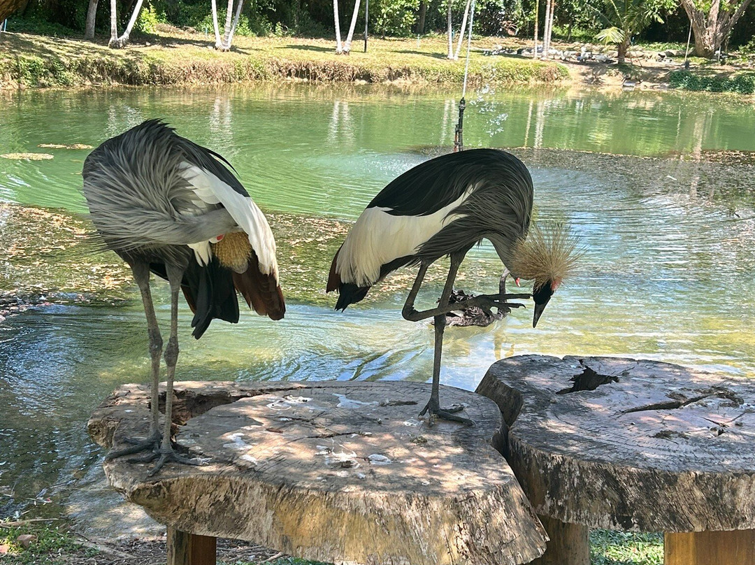 麦摩度假村主图