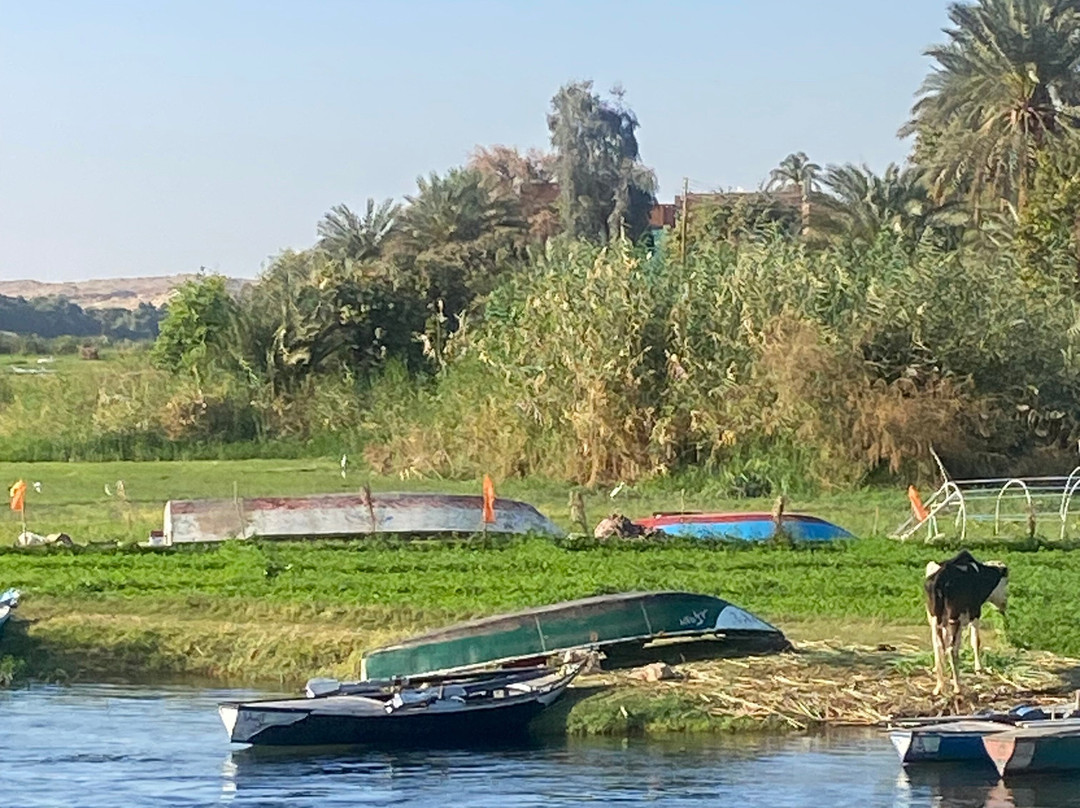 Royal Cleopatra Dahabiya Nile cruise-Esna必去景点