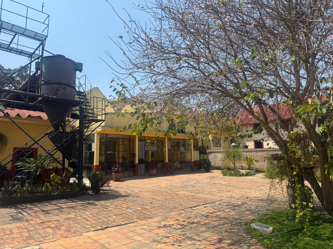 Museo Bola De Oro Finca Roma景点图片