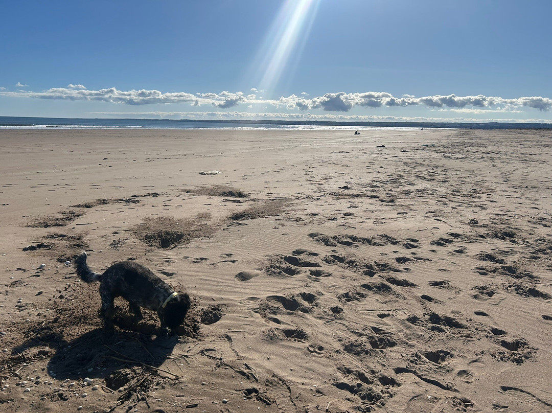 Tentsmuir Forest-Tayport必去景点