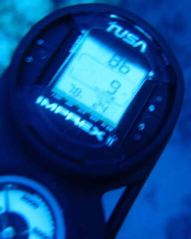 Aqua TCI-普罗维登西亚莱斯必去景点