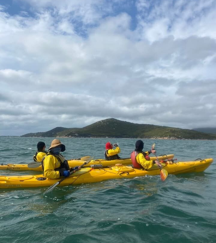 Sea Kayak Australia-Abbotsford必去景点