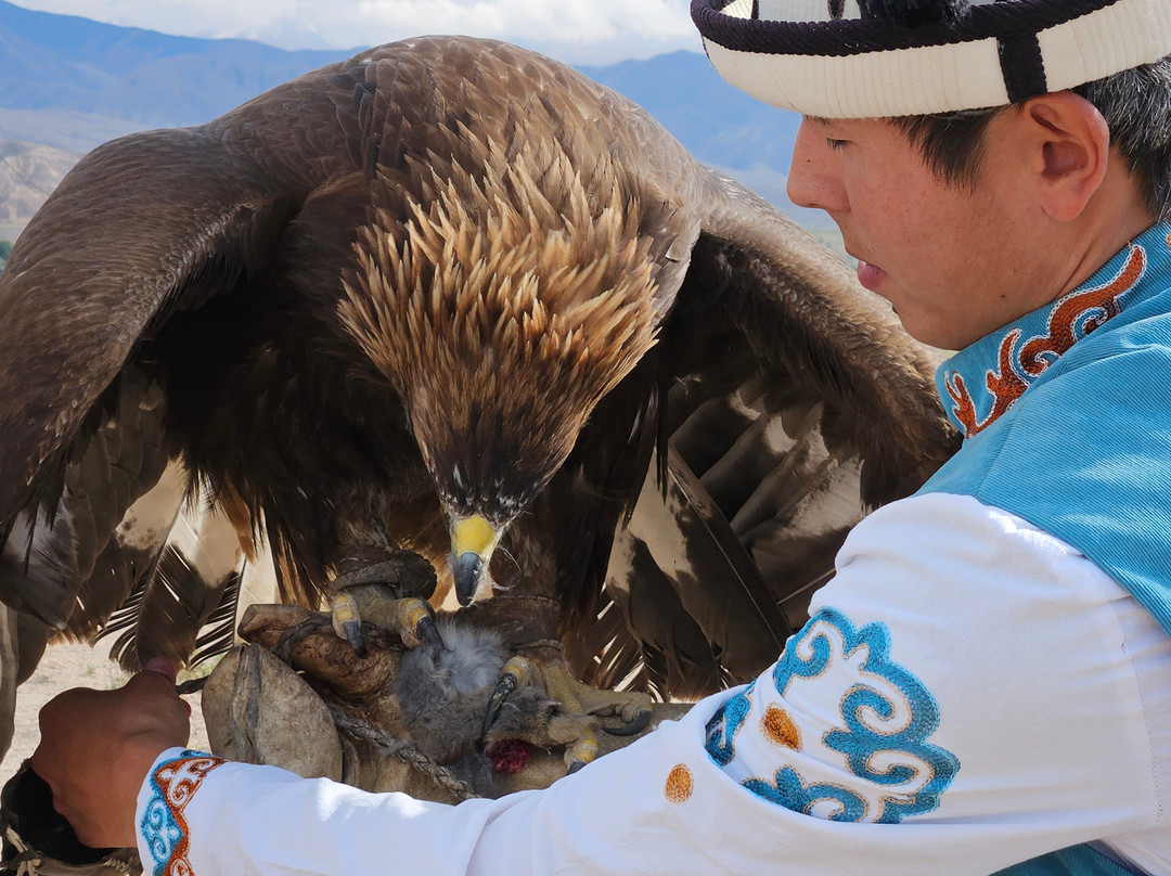 Eagle Hunting Show by Salavat-Bokonbayevo必去景点