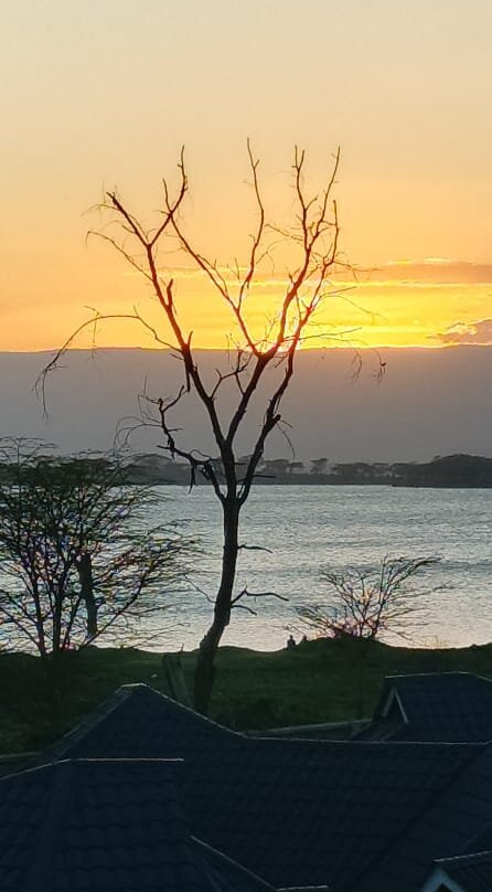 Burch's Resort Naivasha主图