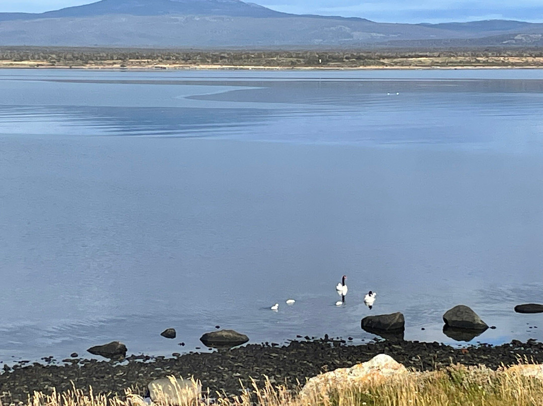Patagonia Adventure Natales-纳塔莱斯港必去景点