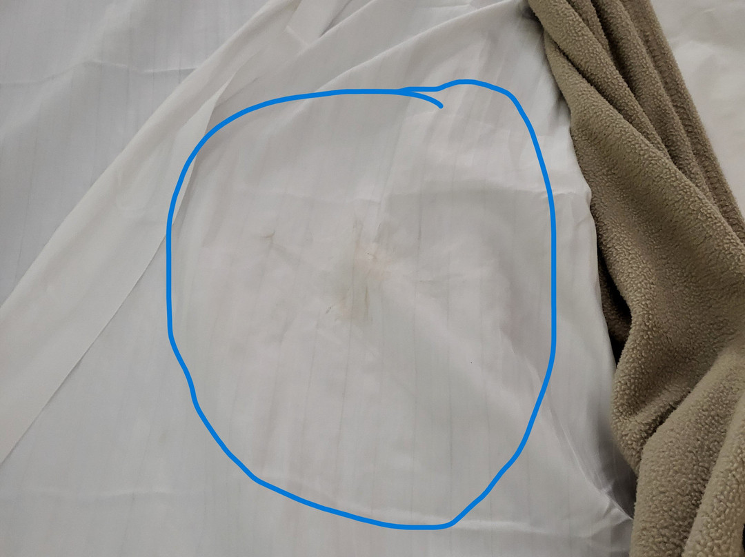 Best Western Lindale Inn主图