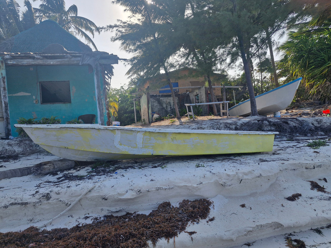 Hotel Cielo y Selva主图