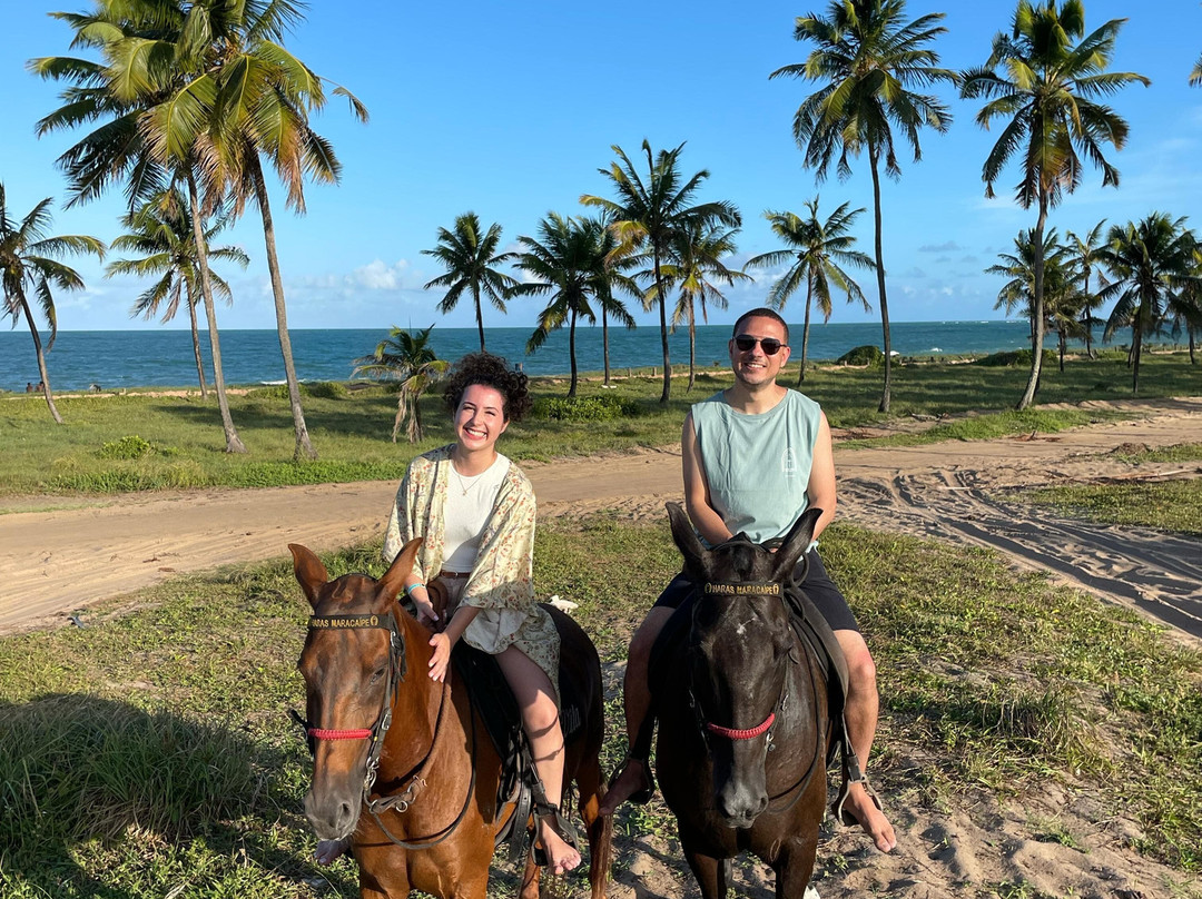 Haras Maracaipe-嘎林海斯港必去景点