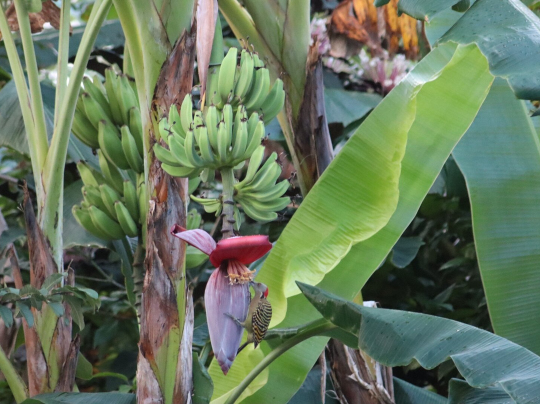 Hotel Labellaventura主图