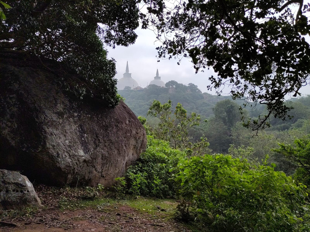 Buddi Tours景点图片