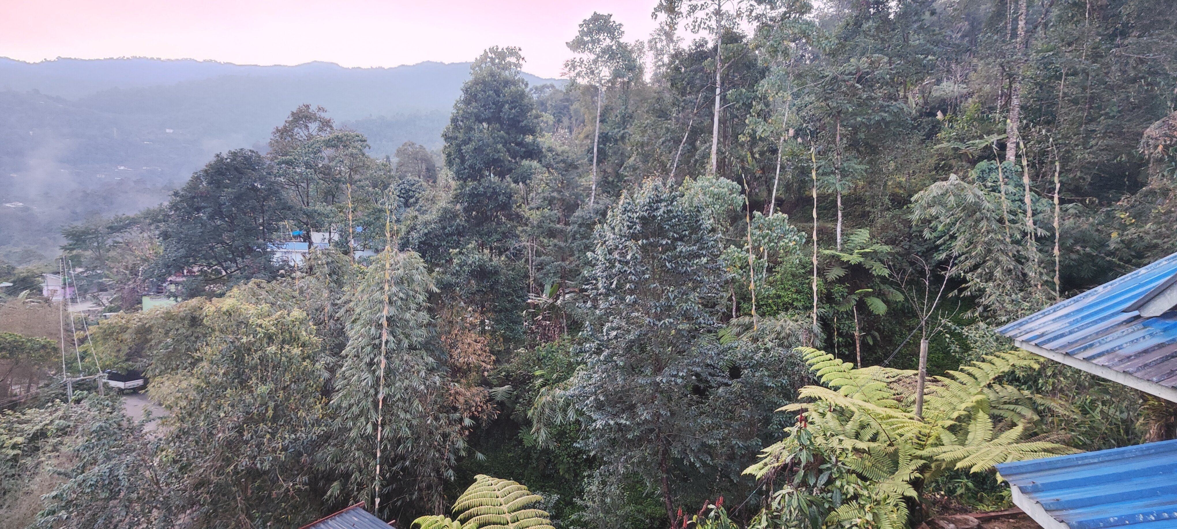 Malinggo Homestay-官方