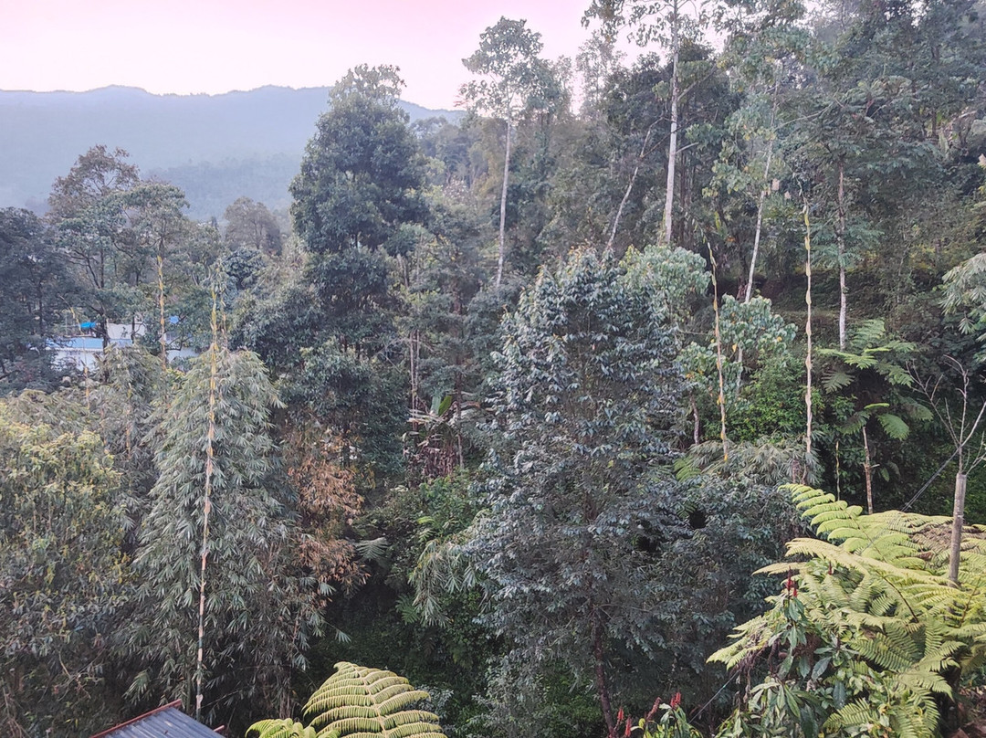 Malinggo Homestay主图