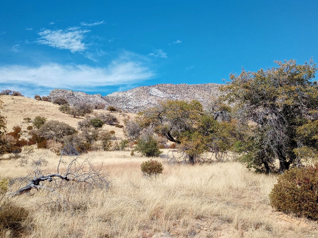 Coronado National Memorial景点图片