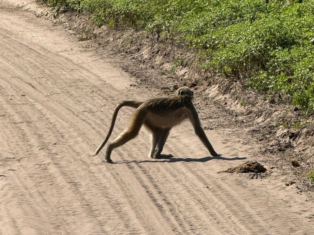 Kalahari Tours-卡萨尼必去景点
