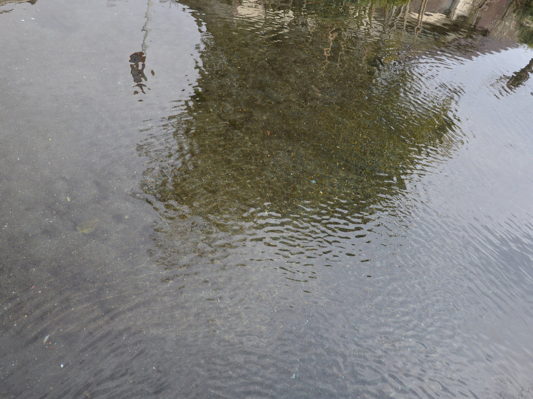 Yusui Park-富士市必去景点