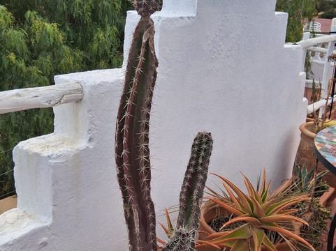 太吉尼斯蓝酒店主图