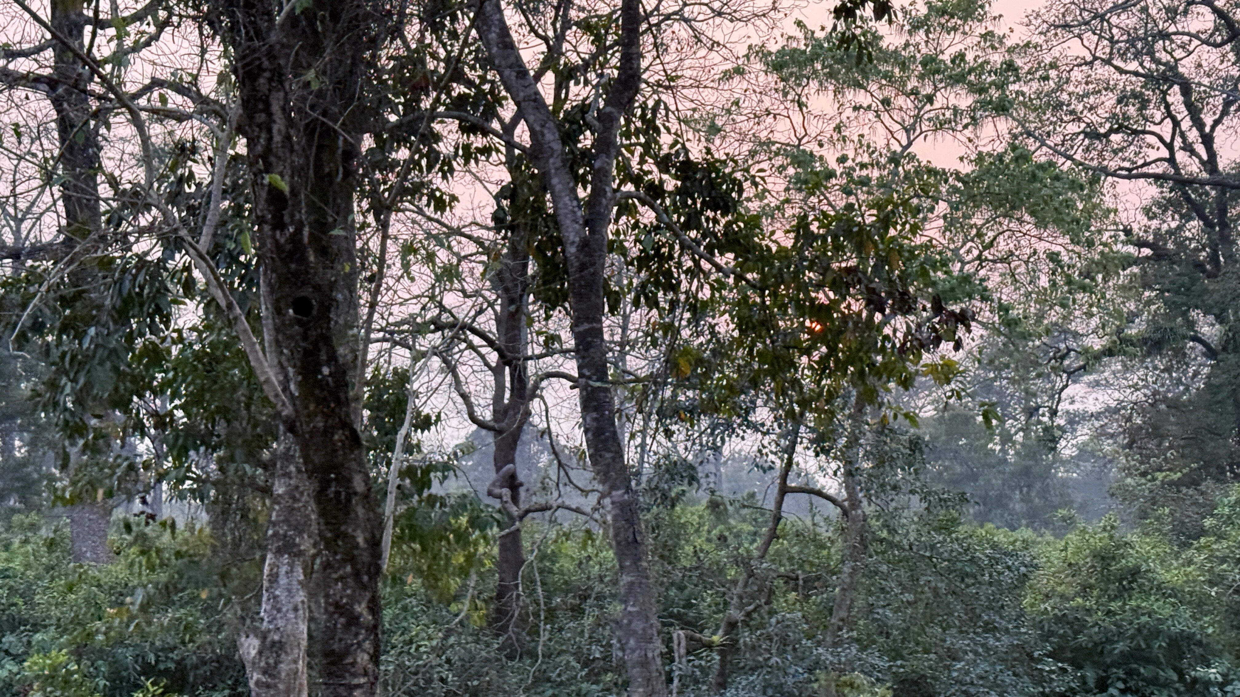 Hollong Eco Village Resort-官方