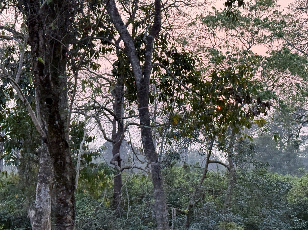 Hollong Eco Village Resort主图