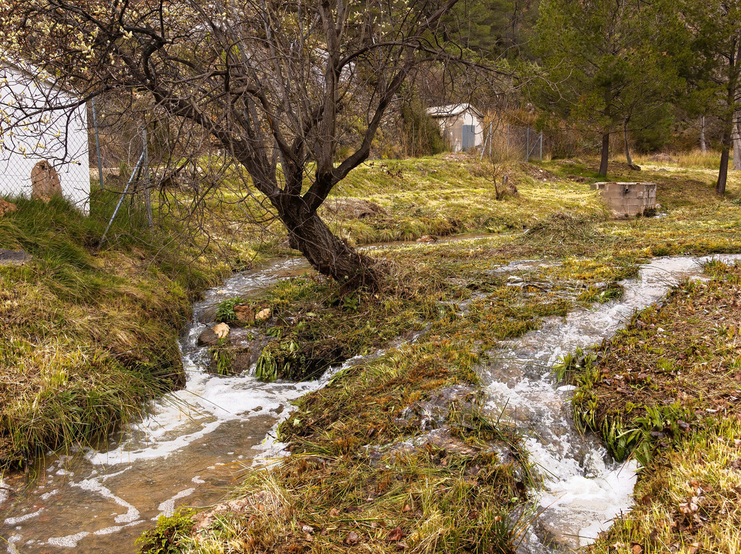 Hosteria La Barbacana主图