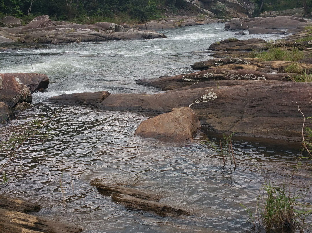 Dinu Adventure Trekking景点图片