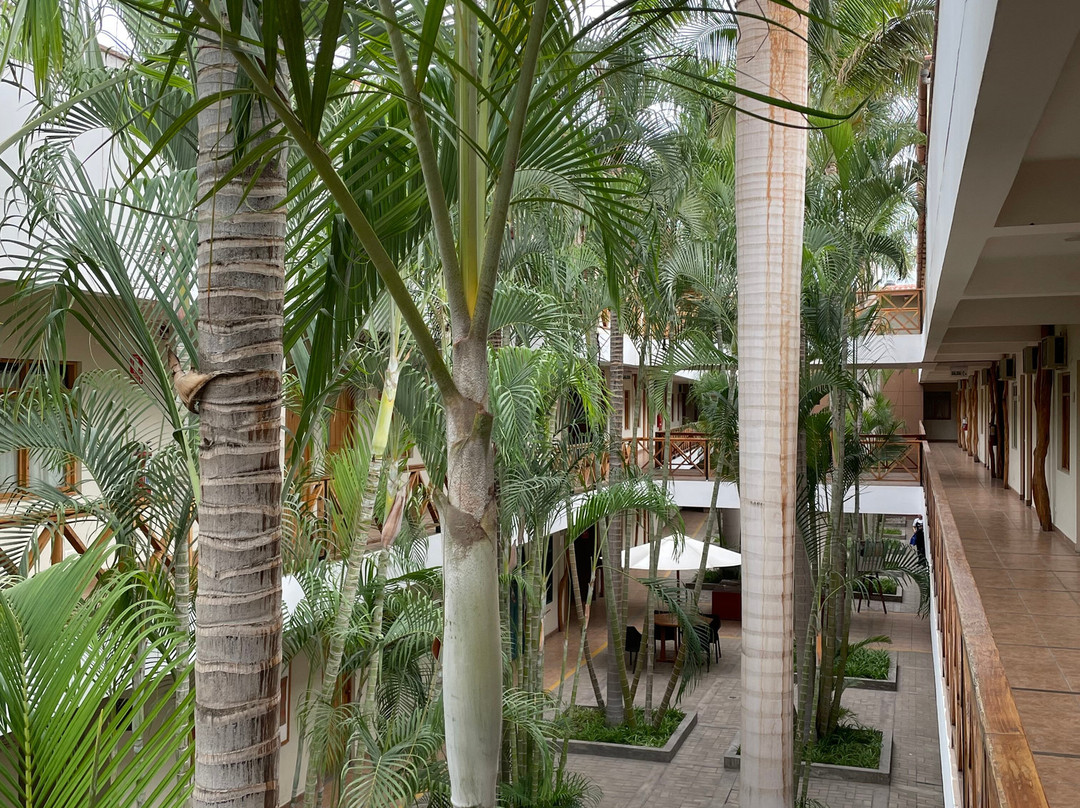 Casa Andina Standard Nasca主图