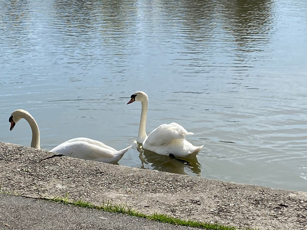 Apex Leisure & Wildlife Park景点图片