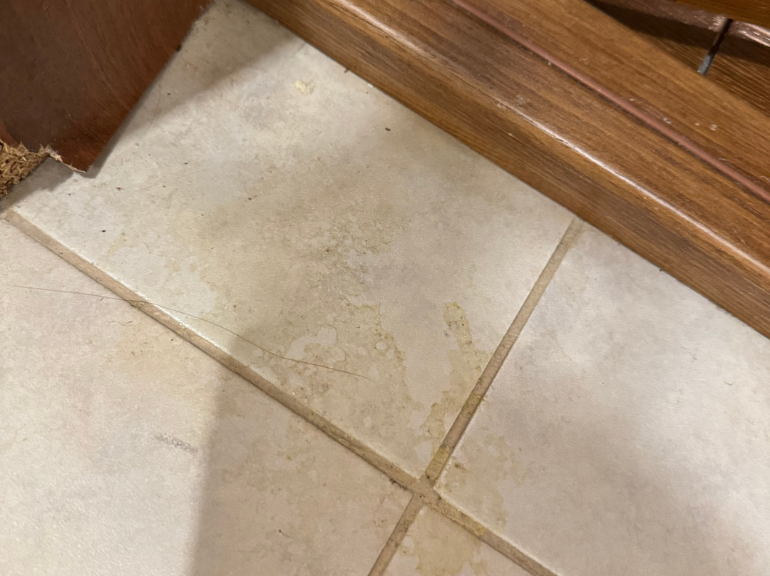 Amira Parc Hotel主图