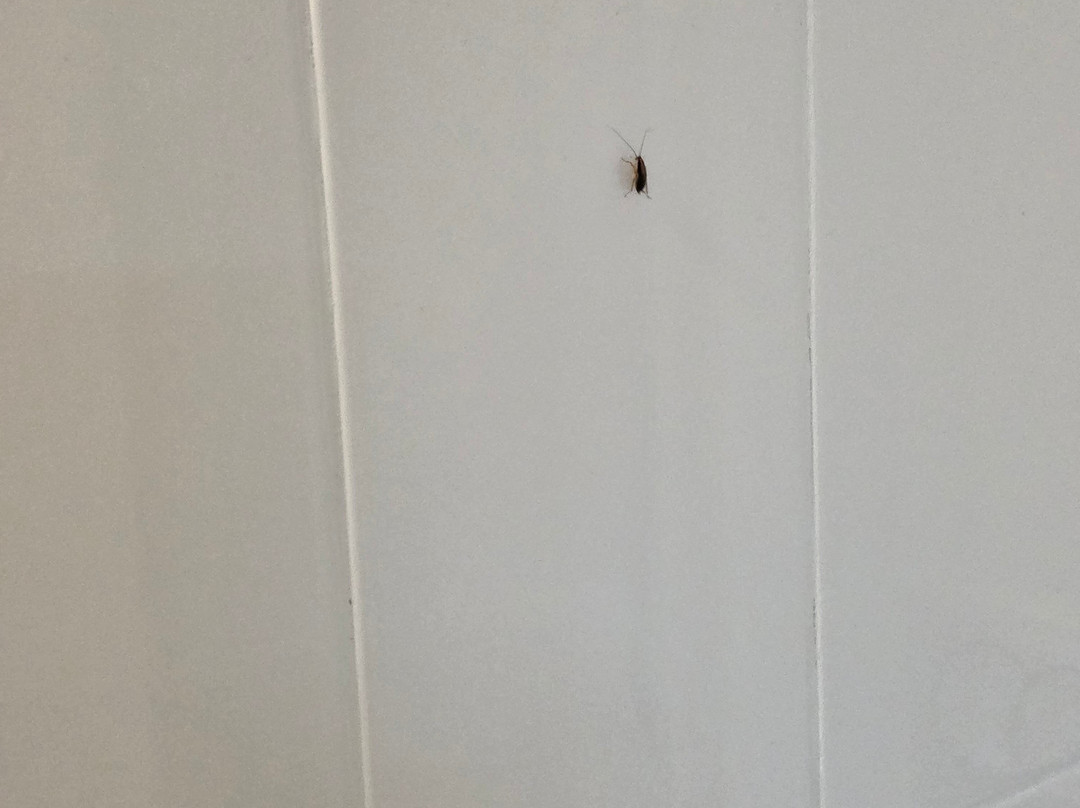 渣油加乐里塔特里酒店主图