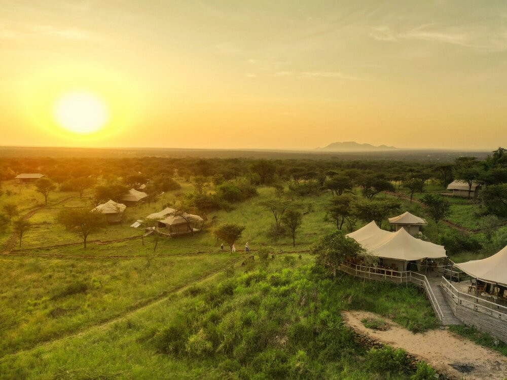 Serengeti Kifaru Tented Lodge