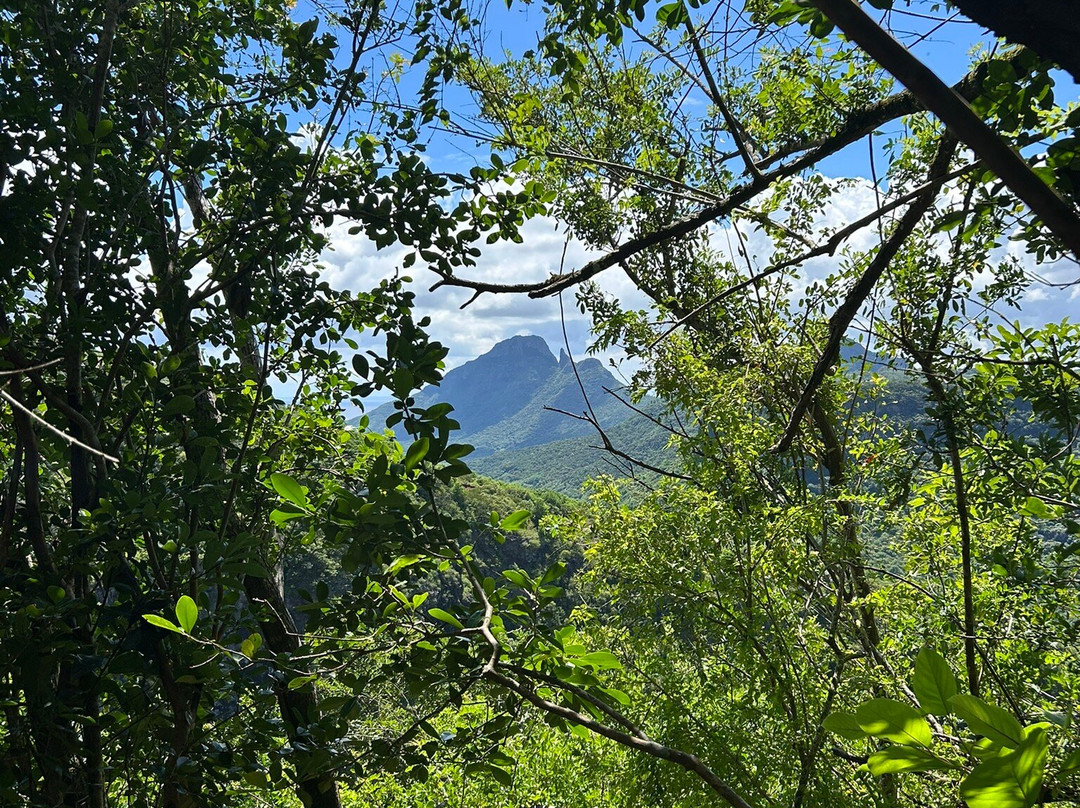 Green Discovery Mauritius - Eco Tourism Mauritius-Henrietta必去景点