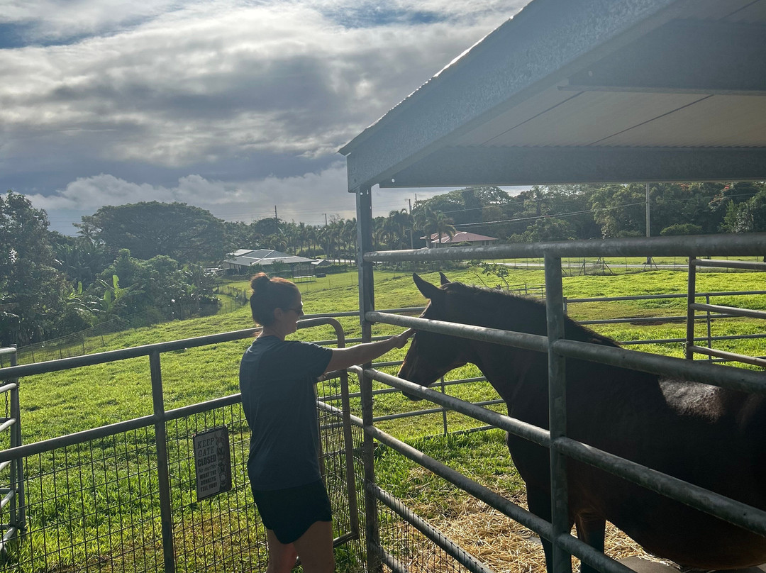 古德岛之家主图