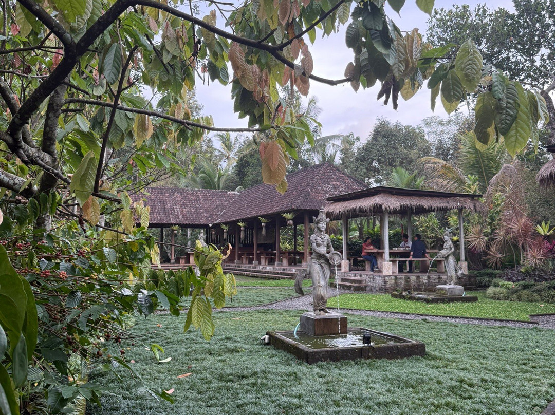 Kirani Bali Tour景点图片