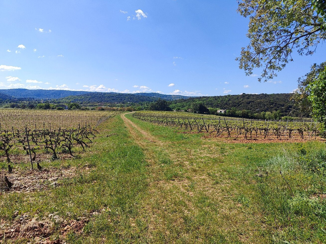 Ardeche Trottinette景点图片