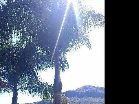 Centro Campestre Mawá主图