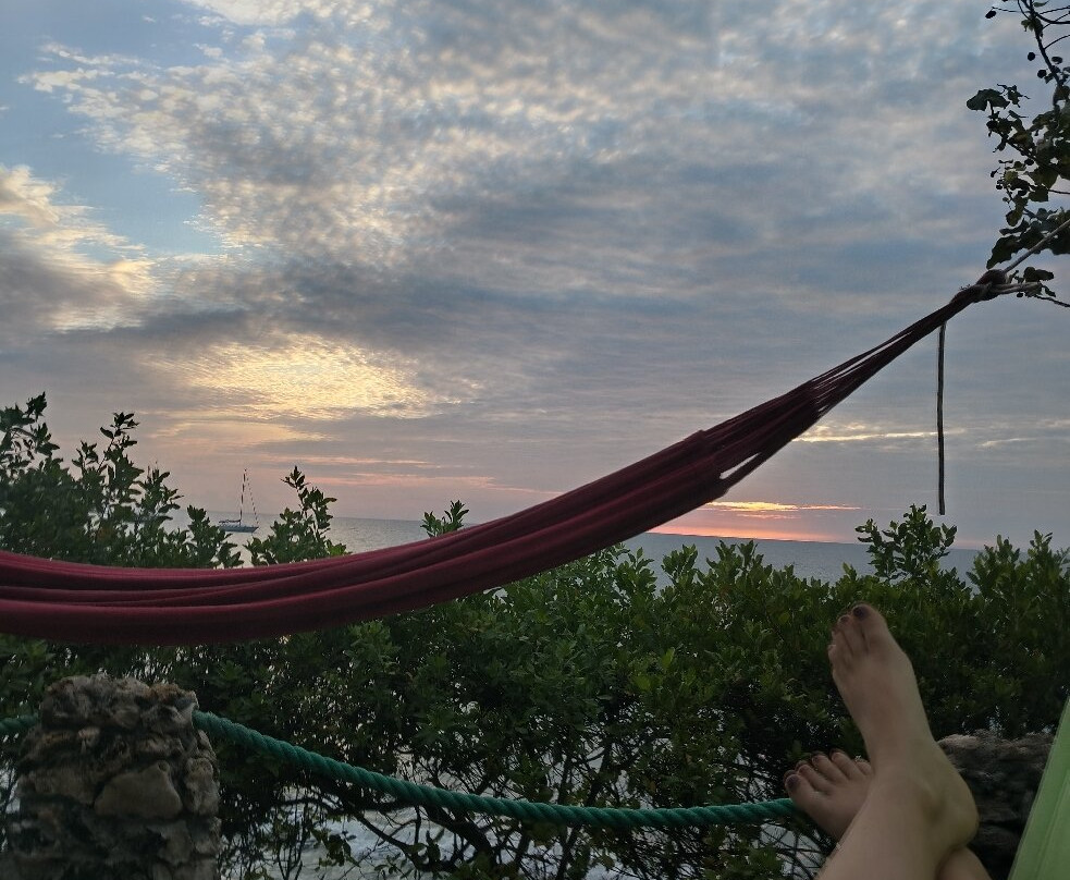 Isla Fuerte Ecolodge &  Diving Center-Isla Fuerte必去景点