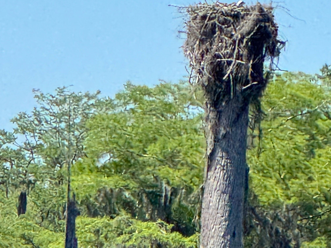 Off The Map Expeditions - Tours-Wewahitchka必去景点