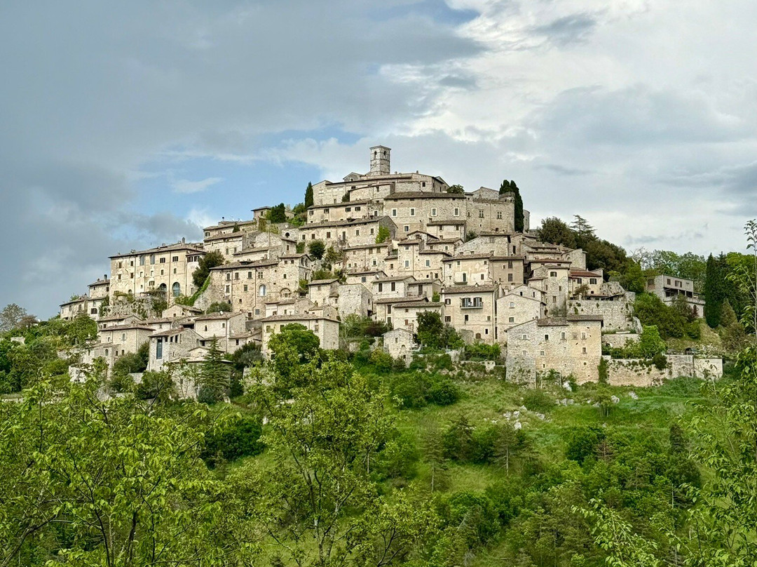 Fattoria Del Quondam主图