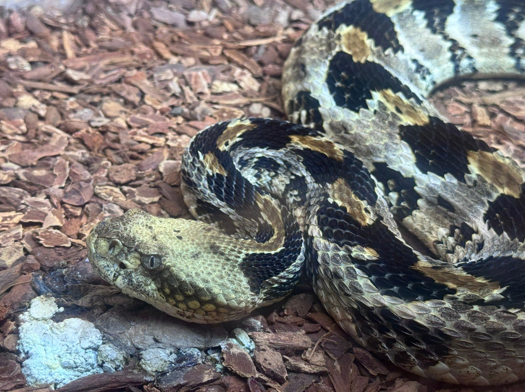 Salato Wildlife Education Center-法兰克福必去景点