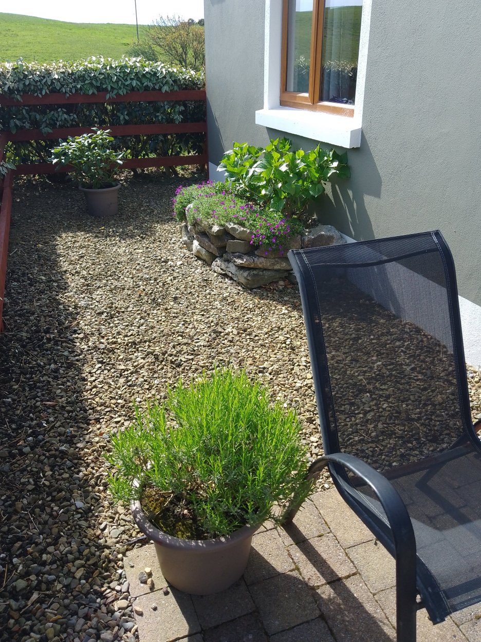 O'Learys Lodge B&B-浴室