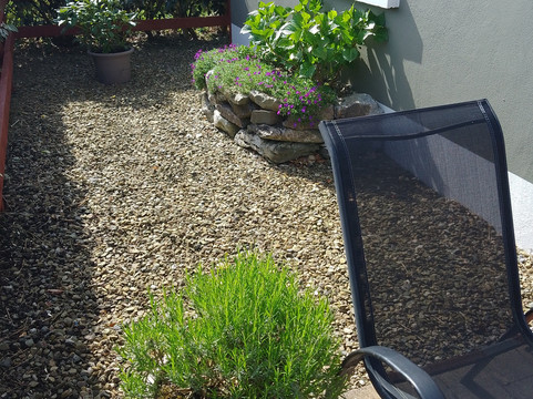 O'Learys Lodge B&B主图