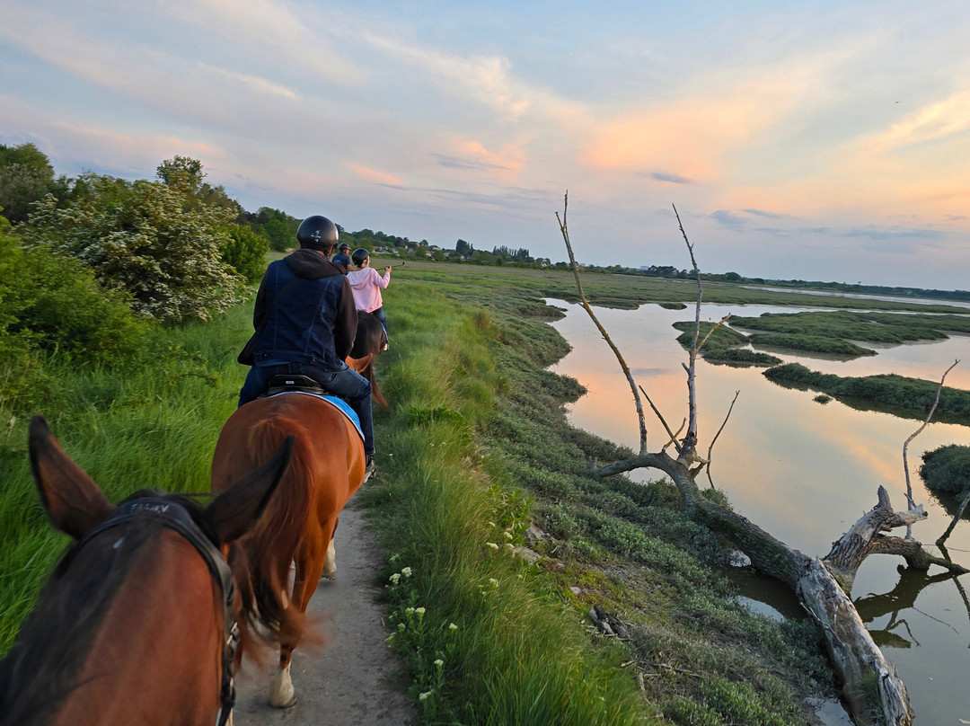 Les Crins de la Baie-Merville-Franceville-Plage必去景点