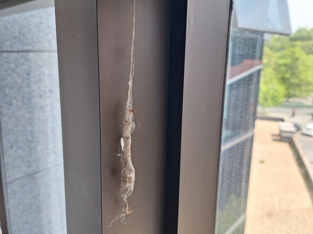 Hotel Zentral Gijon Rey Pelayo主图