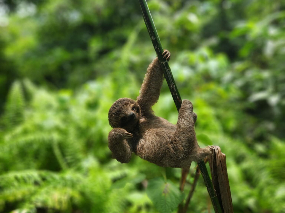 Prime Tours Costa Rica-利比里亚必去景点