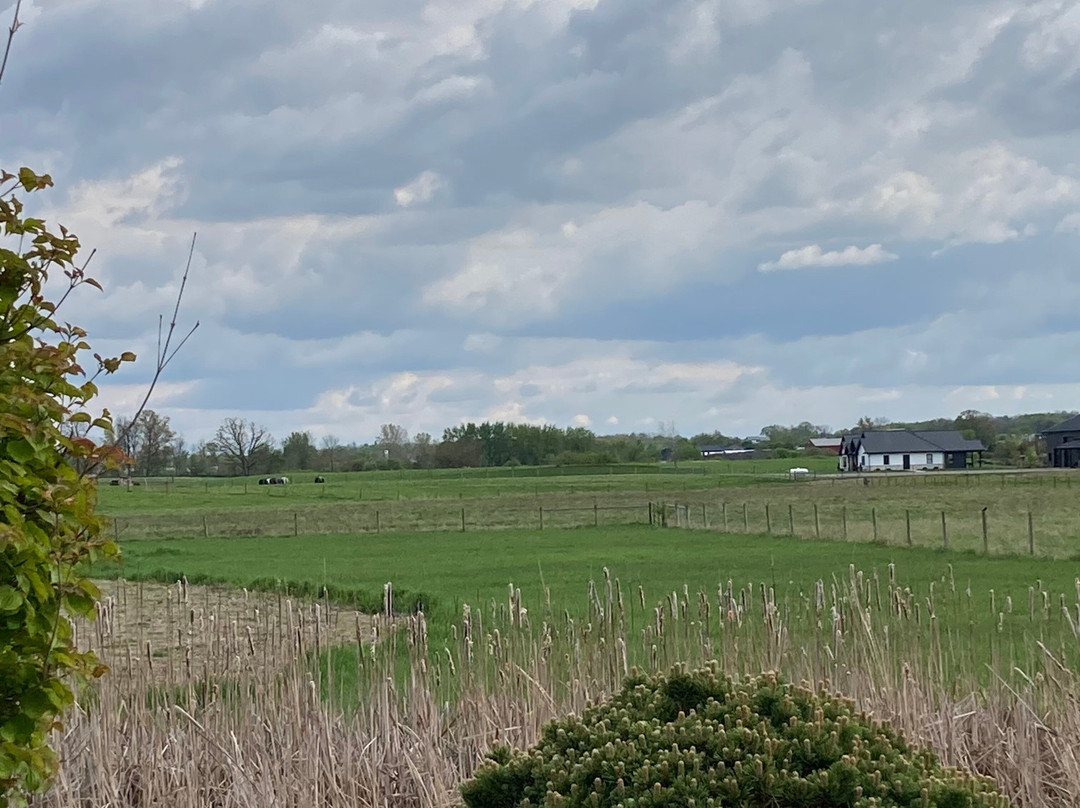 Blue Gate Garden Inn - Shipshewana Hotel主图