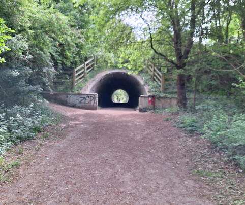 Linear Park-Bingham必去景点