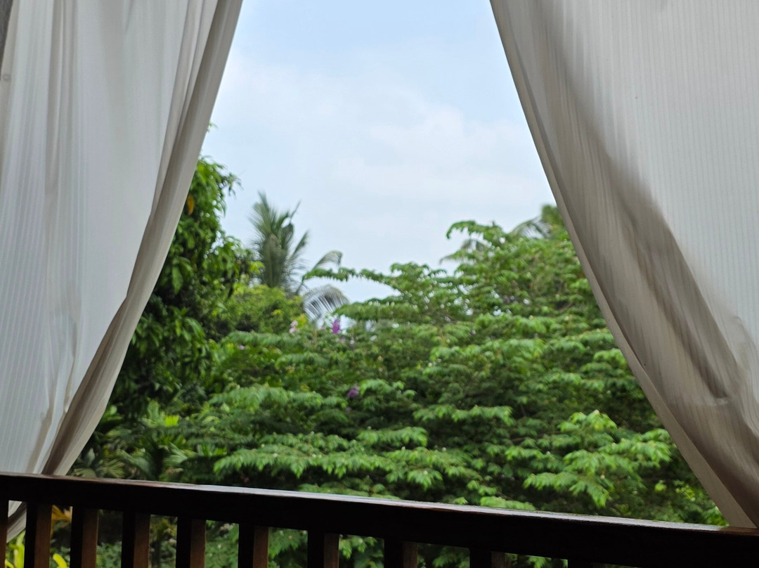 Bougainvillea Alibaug主图