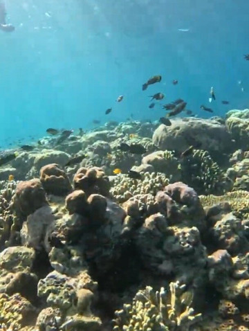 West Bali Discovery-佩母德兰必去景点