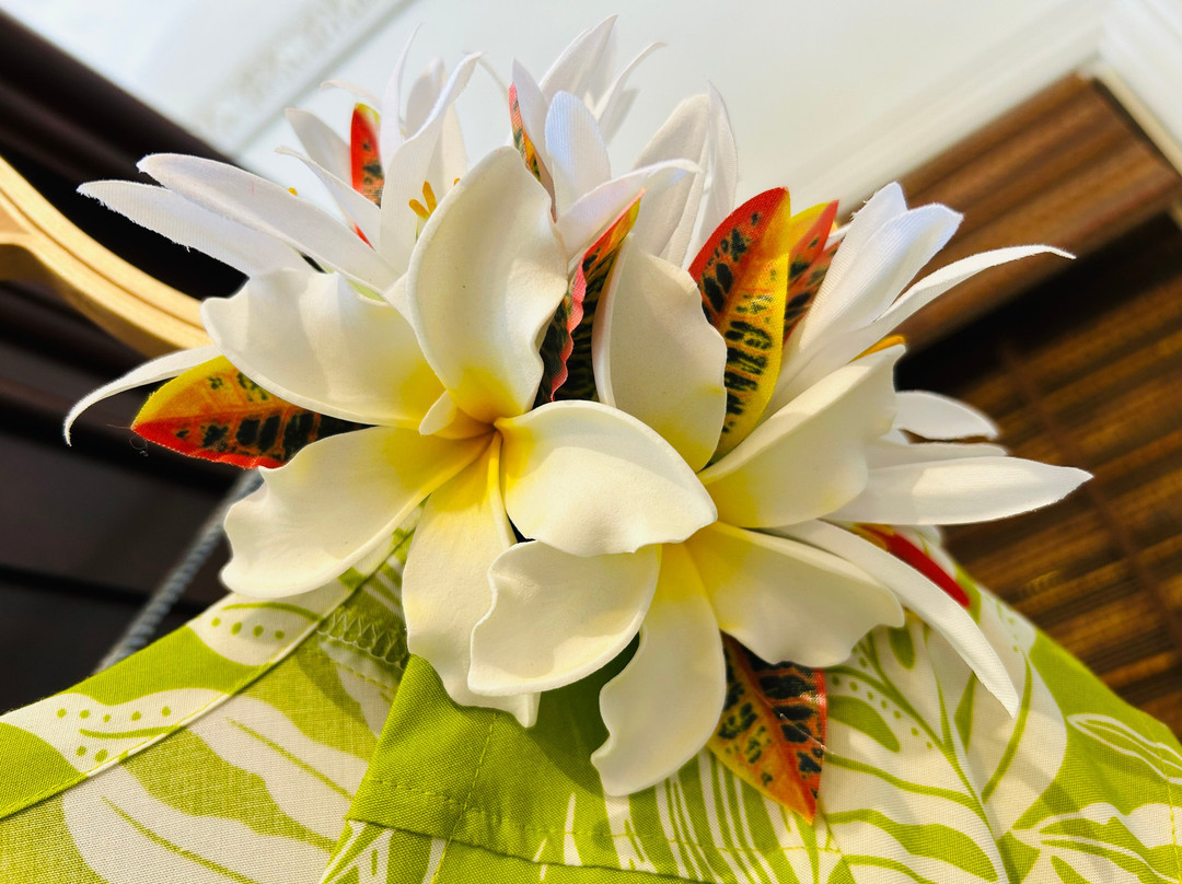 Naupaka Island Designs-希洛必去景点